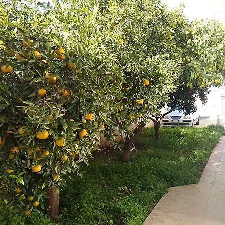 Casa Di Frami Carmiano (Apulia)